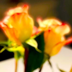 Meet your Posher, Tiziana